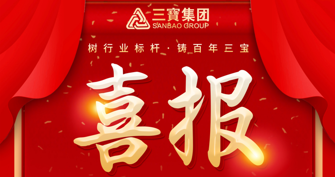 喜報！三寶職工榮獲福建省百萬職工“五小”創(chuàng)新大賽一等獎