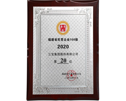 福建省民營企業(yè)100強20位